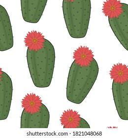 Seamless pattern cactus with flowers vector illustration