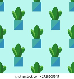Seamless pattern of cactus in pots isolated on blue background. Simple cartoon vector style. Flat design. House plant illustration. 
