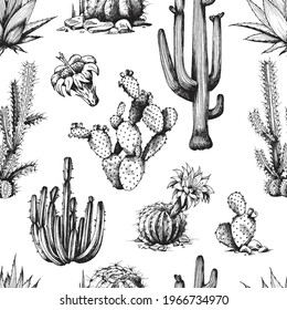 Seamless pattern with cactus and succulent plants, monochrome engraving vector illustration. Endless repeatable background design with cactus or cacti in ink line style.