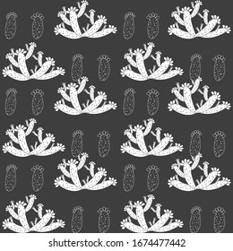 Seamless pattern with cactus, succulents and floral elements. Vintage vector botanical illustration. Background ready for printing on textile and other seamless design