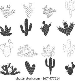 Seamless pattern with cactus, succulents and floral elements. Vintage vector botanical illustration. Background ready for printing on textile and other seamless design