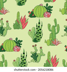 Seamless pattern of cactus. Variants of different cacti on green background. Hand drawn vector illustration. Backdrop for wallpaper, textile, fabric, wrapping