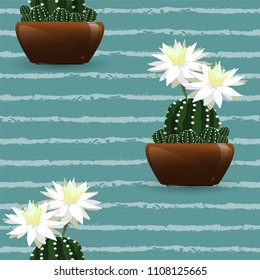 Seamless Pattern of cactus with white flower pattern. Vector illustration.