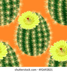 seamless pattern cactus with yellow flower on orange background vector illustration