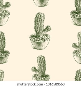 Seamless pattern of cactuses sketches