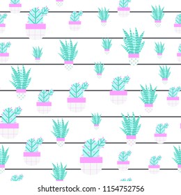 Seamless pattern of Cactuses and Succulents with nice pots in flat style. Editable elements, icons for cloths, textile, cute print, home garden, landscape design. Vector illustration