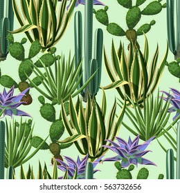 Seamless pattern with cactuses and succulents set. Plants of desert.