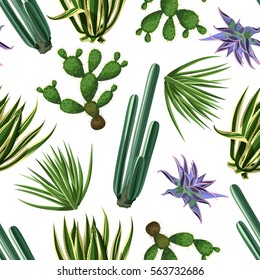 Seamless pattern with cactuses and succulents set. Plants of desert.