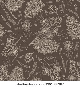 Patrón sin foco con cesalpinia: planta de cesalpinia, hojas, flores de cesalpinia y corteza de cesalpinia. Cosmética, perfumería y planta médica. Ilustración dibujada a mano por el vector