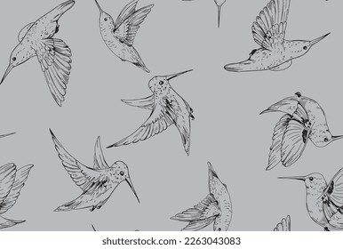 Seamless pattern with calibri. Vector illustration. Exotic tropical hummingbirds on white background. Textile composition hand drawn style print.