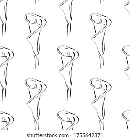 Seamless pattern with calla lily flowers. Vector illustration on a white background.	