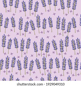 Seamless pattern called "Lavender field". Vector illustration of lilac color. 