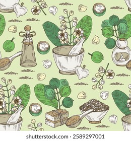 Seamless pattern with calophyllum inophyllum: plant, leaves, alexandria laurelnuts and calophyllum inophyllum flowers. Alexandria laurelnuts. Oil, soap and bath salt . Cosmetics and medical plant