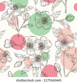 Patrón transparente con camellia sasanqua: hojas, camellia sasanqua flores y brote. Planta cosmética, perfumería y médica. Ilustración dibujada a mano por el vector