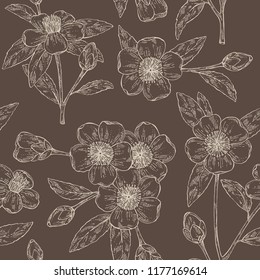 Seamless pattern with camellia sasanqua: leaves, camellia sasanqua flowers and bud. Cosmetic, perfumery and medical plant. Vector hand drawn illustration
