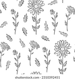 Seamless pattern with camomile flower and leaves in hand drawn sketch style