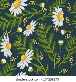 Patrón sin foco con flores de camomila y hojas de camomila sobre un fondo azul con círculos abstractos. Ilustración del vector