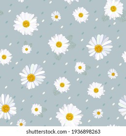 Seamless pattern with camomile flowers.Vector illustration.