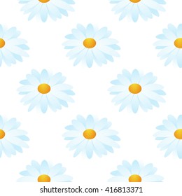 seamless pattern of camomile on white background. Vector illustrator