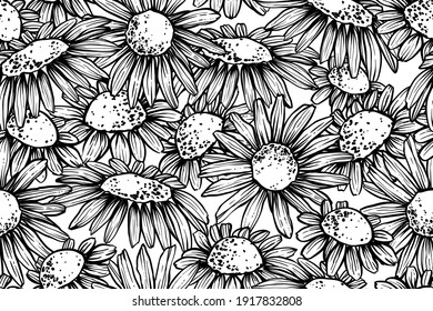 Patrón sin inconvenientes de camomilos, vector dibujado a mano, monocromo