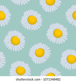 Seamless pattern with camomiles on a turquoise background. Summer background with flowers. It can be used for websites, packing of gifts, registration of notebooks, tiles fabrics backgrounds. Vector