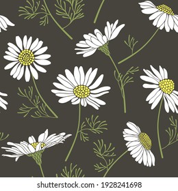 Patrón sin foco con camóiles.  Perfecto para plantillas de diseño, papel pintado, envoltura, tela y textil. Vector.