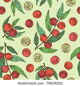 Seamless pattern with camu camu: branch, camu camu powder, cocktail and fruit. Myciracy. Super food. Vector hand drawn illustration