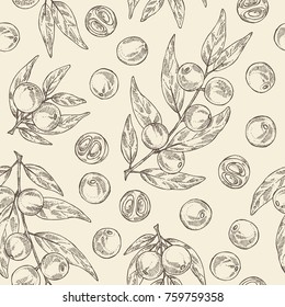 Seamless pattern with camu camu: branch, camu camu powder, cocktail and fruit. Myciracy. Super food. Vector hand drawn illustration