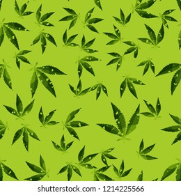 Seamless pattern. Cannabis leaves. Editable.