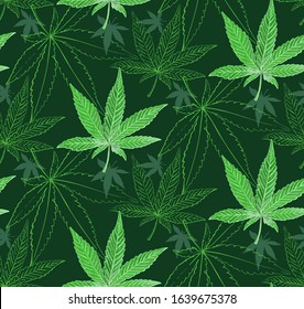 Seamless pattern of cannabis leaves. Pattern of green marijuana leaf.