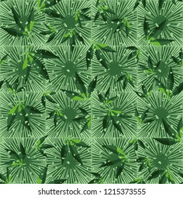 Seamless pattern. Cannabis leaves on a background of square suns. Editable.