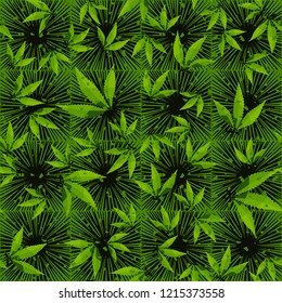 Seamless pattern. Cannabis leaves on a background of square suns. Editable.