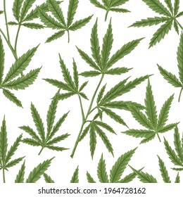 Seamless pattern with cannabis leaves on white background. Endless repeatable design with hemp or marijuana for printing. Colored hand-drawn vector illustration for wrapping in vintage style