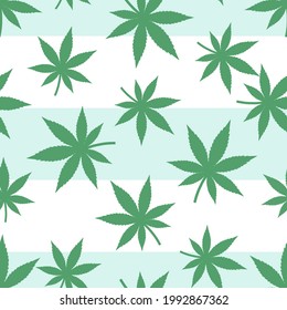 Patrón sin foco con hojas de cannabis en la ilustración vectorial de rayas verdes blancas. 