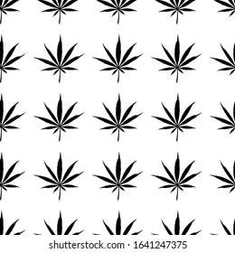 Seamless pattern of cannabis leaves. Vector for design and printing