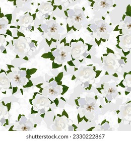 A seamless pattern of Cape jasmine flower. vector illustration. flower background.