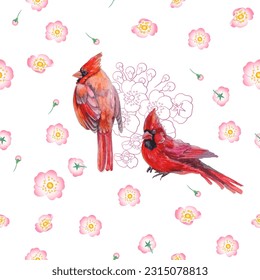 Patrón sin foco. Aves cardinales y flor. Imprimir para tarjeta de felicitación, papel de pared, tela, papel de envoltura, banner. Ilustración vectorial en un estilo de acuarela.