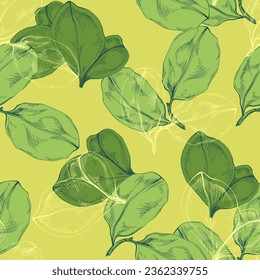 Seamless pattern with carob. Carob fruit. Brown seeds. Wallpaper, print, packing, textile design, paper. Vector illustration.