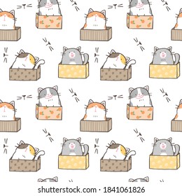 Seamless Pattern with Cartoon Cat in the Box Design on White Background 