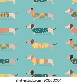 Seamless pattern with cartoon dachshund dogs in clothes on blue background. Vector illustration.