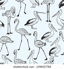 seamless pattern of cartoon pelicans and flamingos