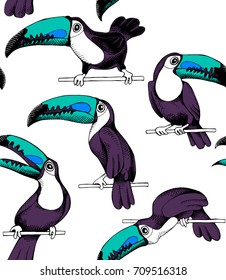 Seamless pattern. Cartoon Toucan with green beak on a perch. Vector illustration.