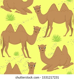 Seamless pattern of cartoon two-humped camels in desert. Repeatable textile vector, childish wallpaper design.