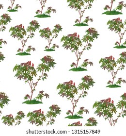 Seamless Pattern, Castor Plant Isolated on Tile White Background. Vector