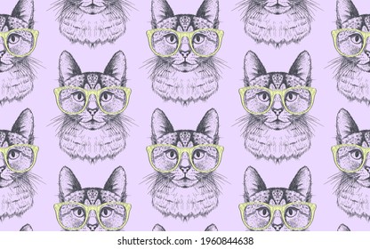 Seamless pattern with cat dressed glasses, graphic vector background