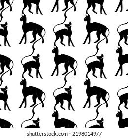 Seamless pattern with a cat. Mystical pattern. Black cat, halloween, Sun, stars, moon, moon phases. Vector.