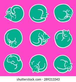 Seamless pattern with cats curled up