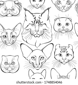  Seamless pattern with cats of different breeds. Hand-drawn vector illustration on white. Animal art background. Black and white. Outline.