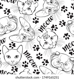  Seamless pattern with cats of different breeds and trace cat feet. Hand-drawn vector illustration on white. Animal art background. Black and white. Outline.