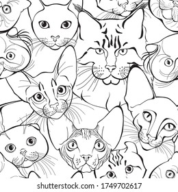  Seamless pattern with cats of different breeds. Hand-drawn vector illustration on white. Animal art background. Black and white. Outline.